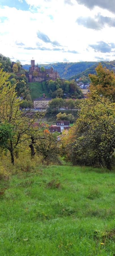 Fewo Traumblick Kreuzwertheim Dış mekan fotoğraf